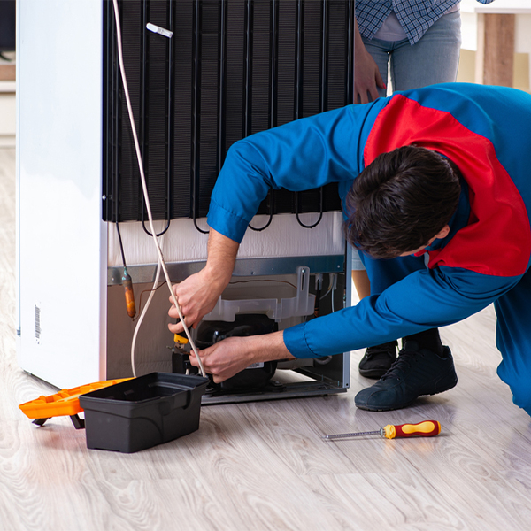 what are the common refrigerator repair services in Rutledge MN